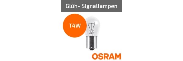T4W
